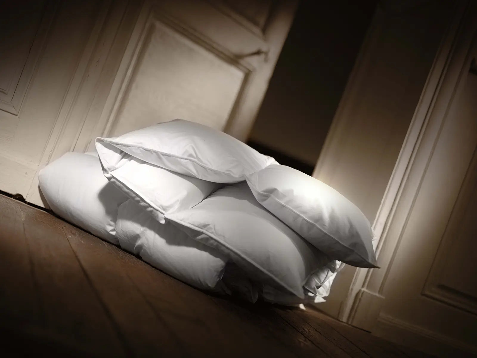 Couette chaude duvet d'oie Moldavie Hiver 90%-1