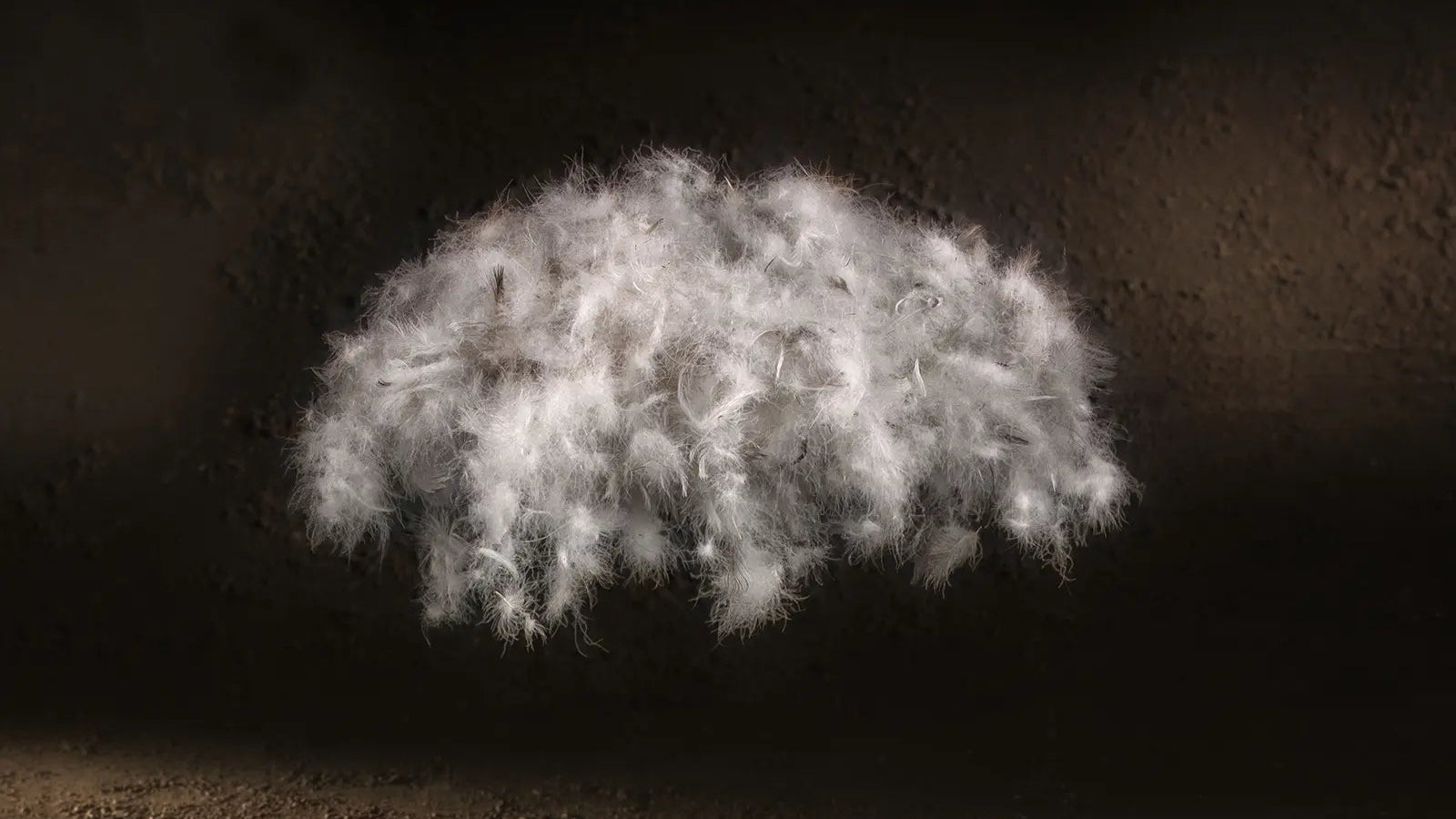 Oreiller moelleux duvet de canard Sticky 90%-3