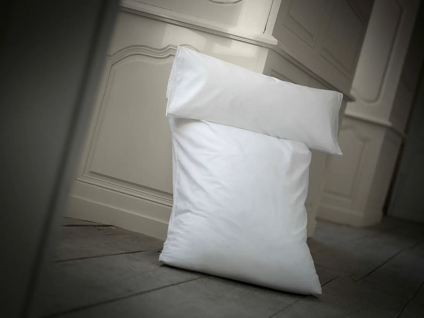 Oreiller Dumas Paris de relaxation et de la télévision