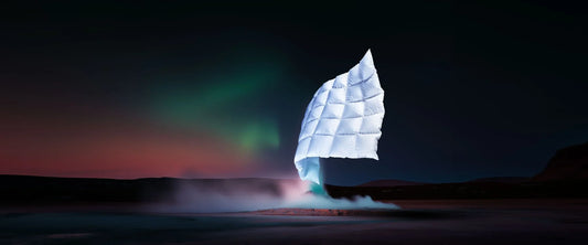 Duvet d’Eider et literie : d’où viennent ces couettes d’exception ?