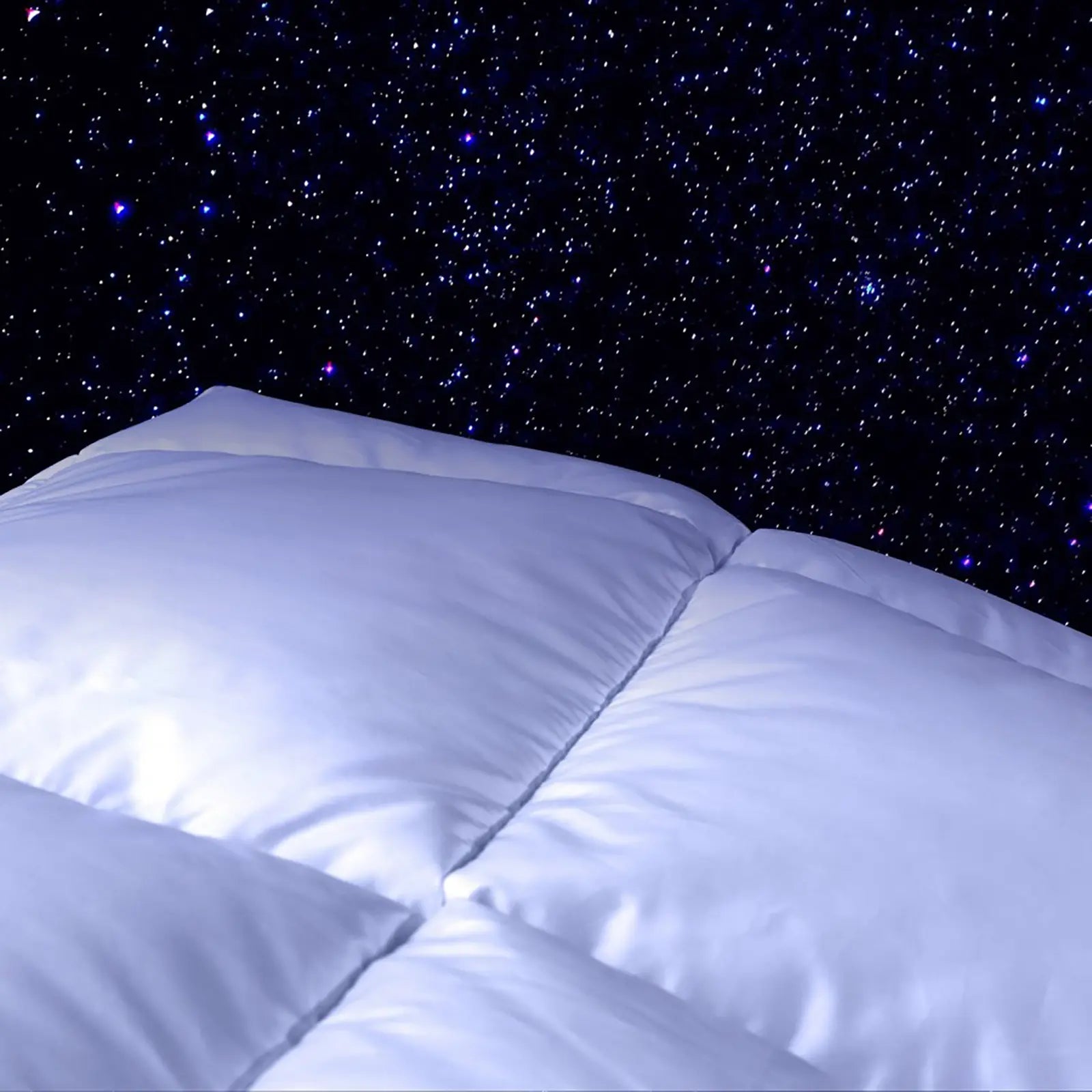 Arctic white goose down duvet - Millésimes 2016-2