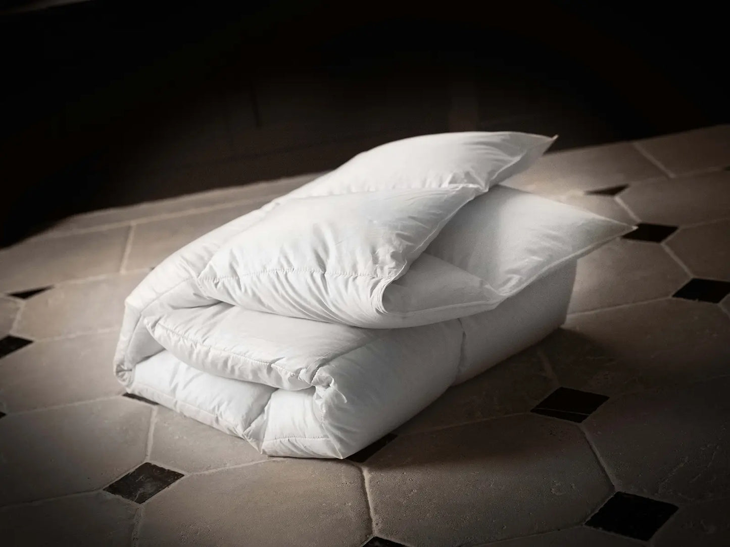 Couette hiver chaude duvet d'oie Impériale