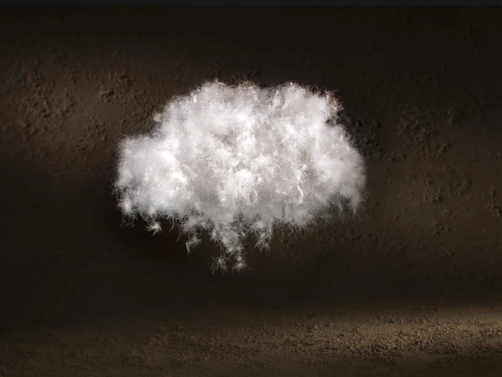 Oreiller souple duvet d'oie Impérial 90%-3