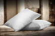 Oreiller ferme duvet de canard Luxe (50%)