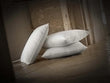 Oreiller moelleux duvet de canard Royal 70%